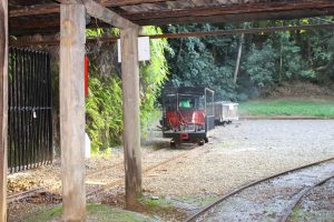 Mina Visitação Octavio Fontana (13)