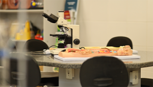 LAB